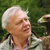 David Attenborough