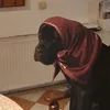 oliverszendi
