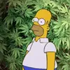 iguessho