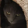 tabitha2573
