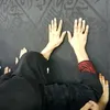 shamim.irshad.rana