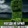shalypai