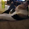 slickdude3