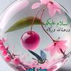 user9062287087128