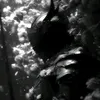 7k_3w