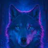 shiyakawolf