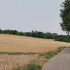 bradserra