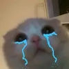 riuttioy