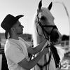 Magestic_horse