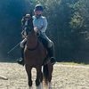 rnstonecowgirl