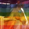 franciscokelvin5