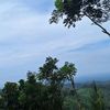 caisaayayaya