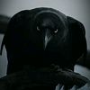 wang_wong_