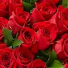 user8591966055506