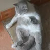 iluvhagian