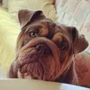 WINNIE