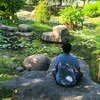binhduongmicro