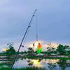 angler.desa098