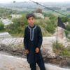 pokhtoon229