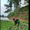 teguhtikosewad