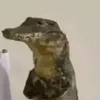 balabingbalabom1