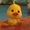 userquack_quack