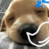 0baogioyeunua2
