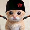 ardi_4670
