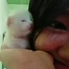 penggi.u