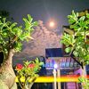 zainul5222