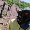 marcosviniciusdes33