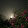 tvh_rd213