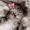 nrushy_