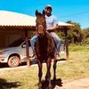 silviobragas