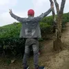 sycuoi