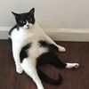 alittleweird11