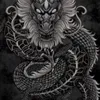 darklingharp43