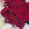 saf_jal7
