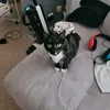 tachtouchpapitout