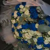 ariina_000