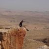 haithamothmani
