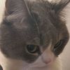 leosnce01
