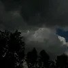 euveizvskavsisv