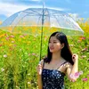 vanhoang818