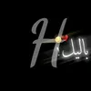 dhhinbsfg3568