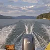 ionelbirsan1