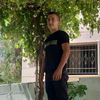 صقر أبو عمر وقطع
