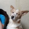 josue_xdfs