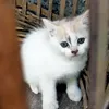 kevintan1626