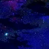 pth1101